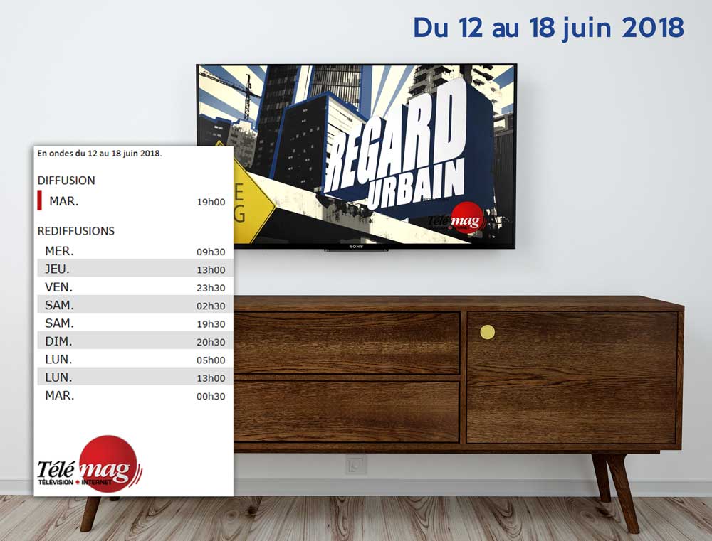 SAFERA et Télémag